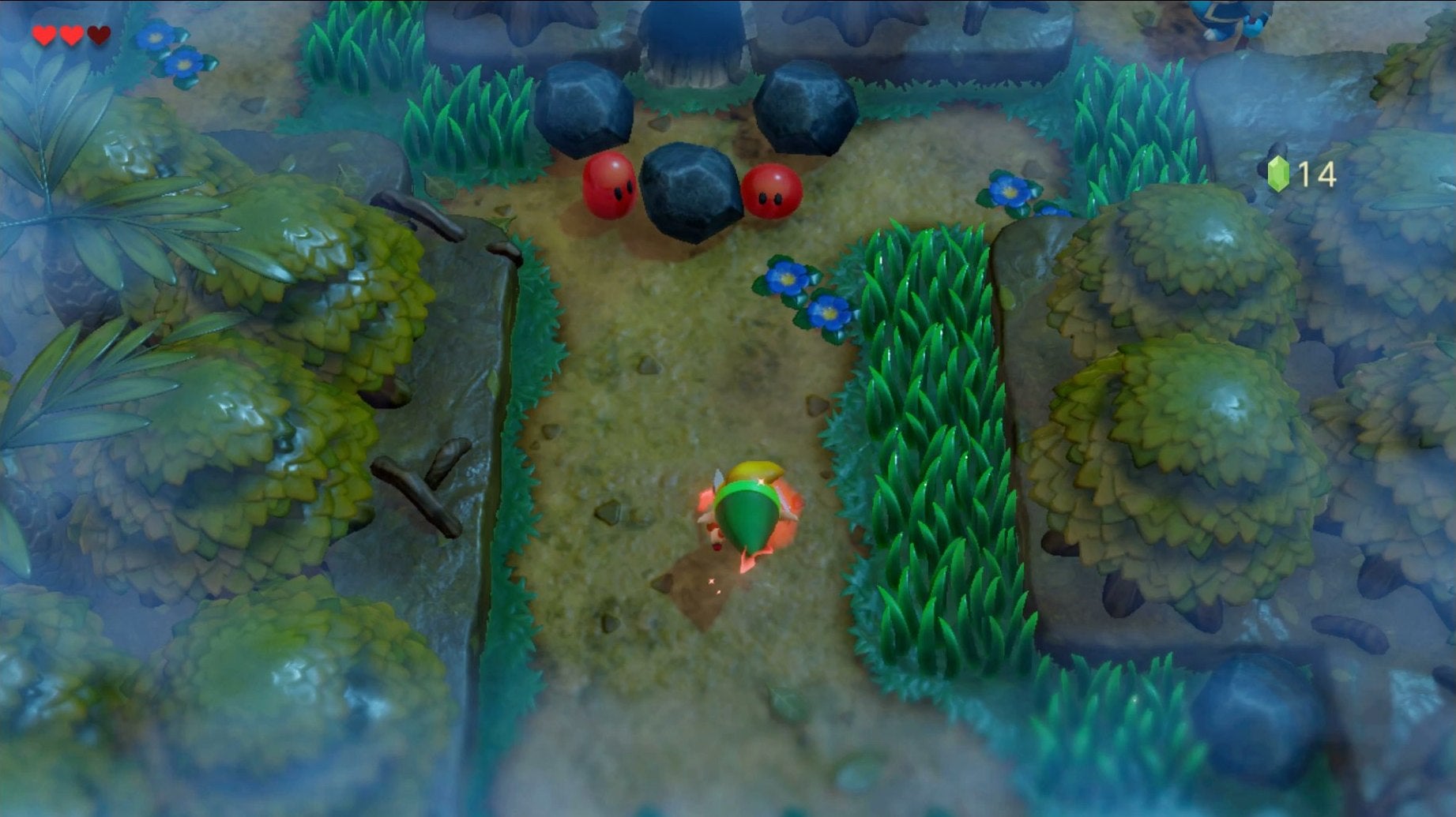 Zelda Link's Awakening Mysterious Forest How to Get Past the Raccoon